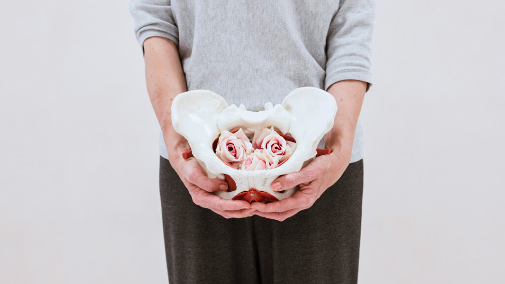 Valutazione trattamento pavimento pelvico